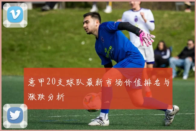 意甲20支球队最新市场价值排名与涨跌分析