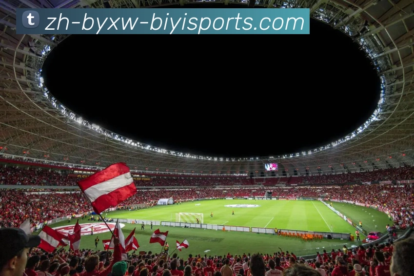 必一体育官方网站发展历程